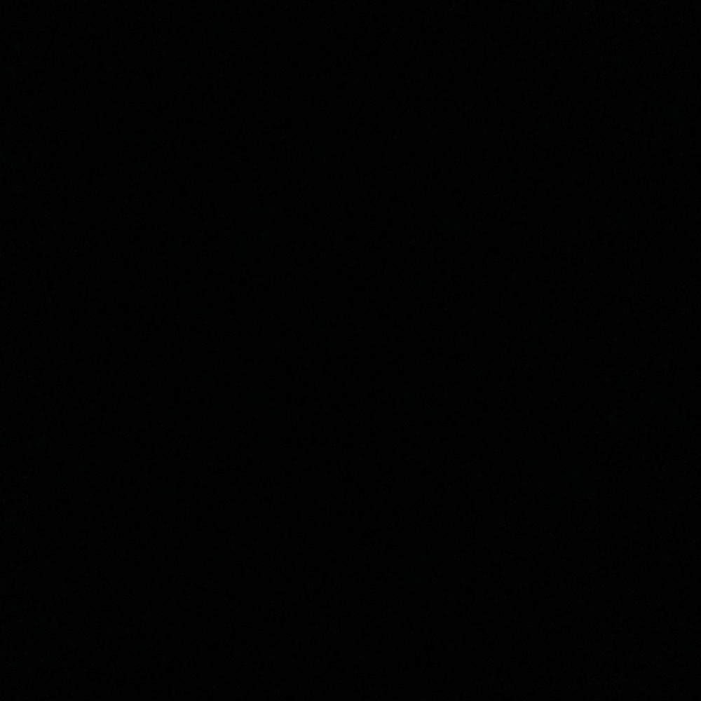 IGNORE